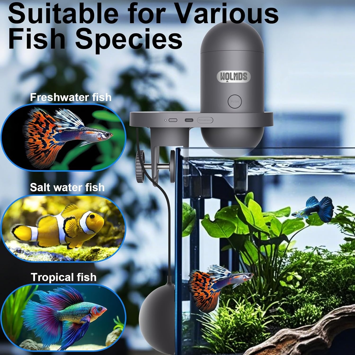Automatische visvoerer met 2,5 K camera, app-bediening, vochtbestendige vakantievoerdispenser, precisievoersysteem, visuele monitor voor aquaria, schildpadstiften
