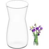 Heldere Glazen Vaas - 20cm Hoog - 74% Korting