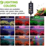Aquarium LED-Verlichting 24W Full Spectrum (60-72cm) - 34% Korting!