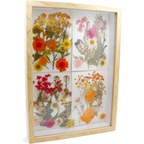 CiciIng 3D Diep Fotolijst A4 Houtkleur met Acryl Glas