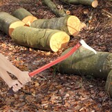 Aleawol Sappie met Aluminium Handvat 72 cm en Getande Snoeischaar - Voor Takken en Houtkloven