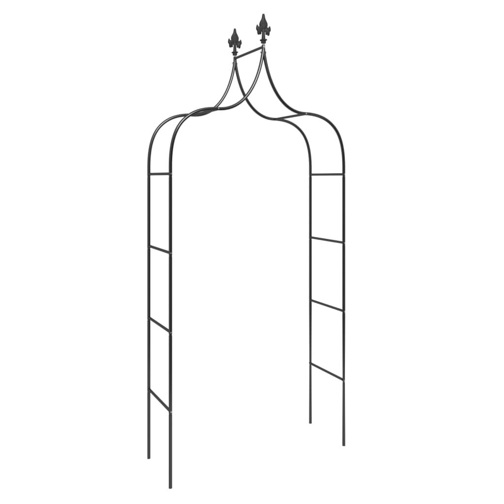 vidaXL Tuinbogen 2 st 120x38x260 cm staal zwart