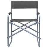 vidaXL Regisseursstoelen 2 st staal grijs