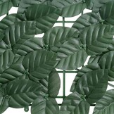 vidaXL Balkonscherm met donkergroene bladeren 300x75 cm