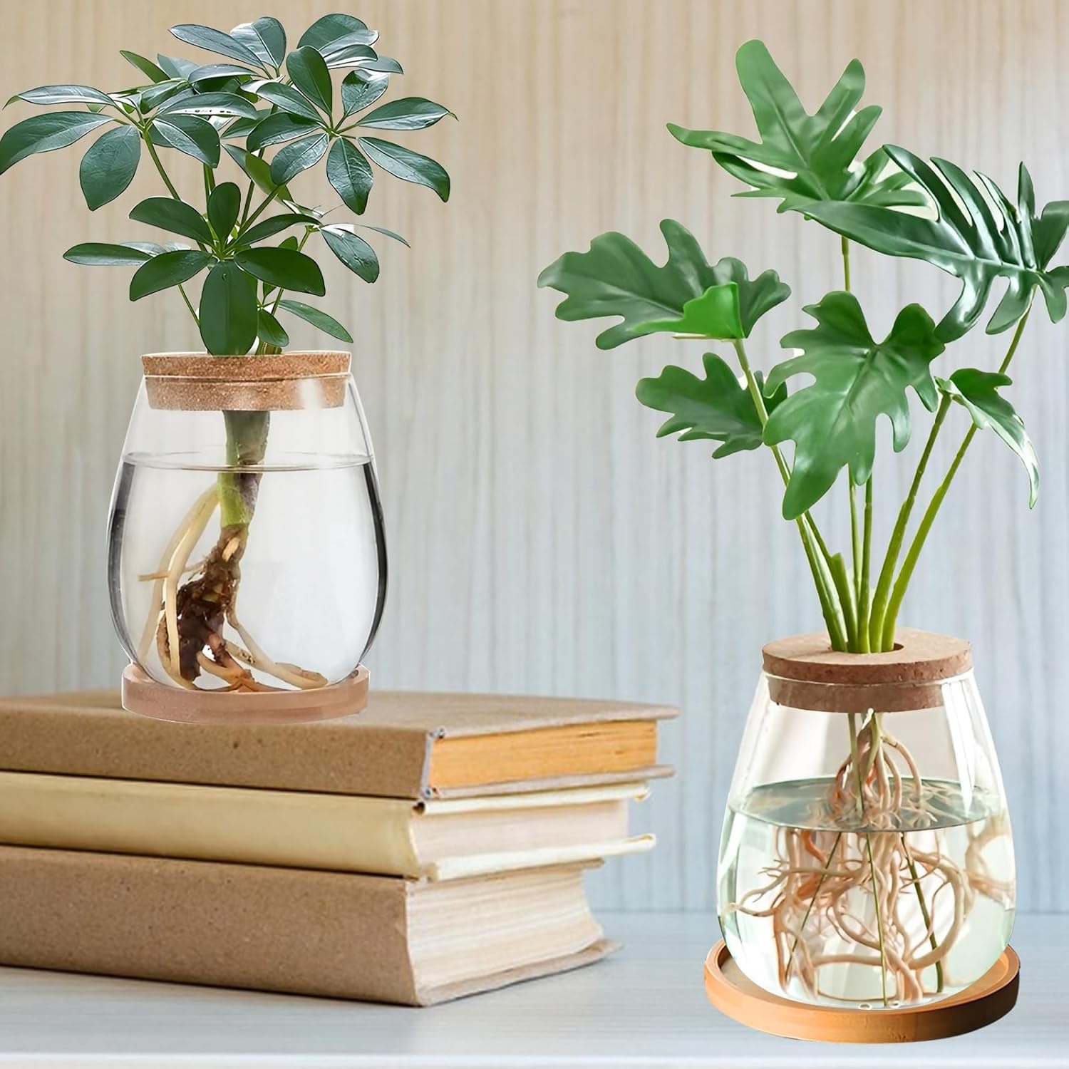 2 x plantenvermeerderingsterrarium, glasplanten-kweekstation, plantenstekken, houder, desktopplant, glazen vaas, pot, bloemenvaas, glas voor het kweken van hydrocultuurplanten (C)