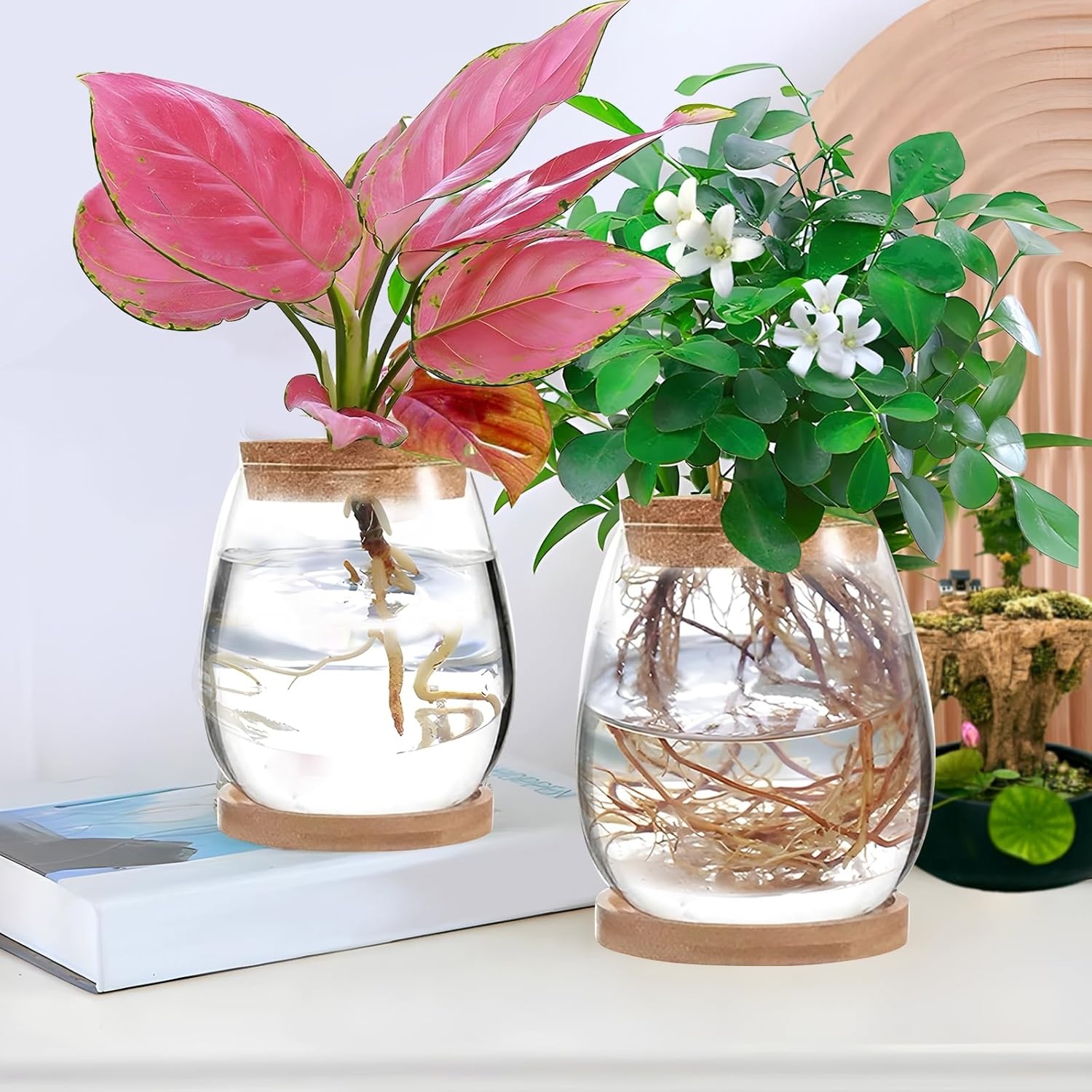 2 x plantenvermeerderingsterrarium, glasplanten-kweekstation, plantenstekken, houder, desktopplant, glazen vaas, pot, bloemenvaas, glas voor het kweken van hydrocultuurplanten (C)