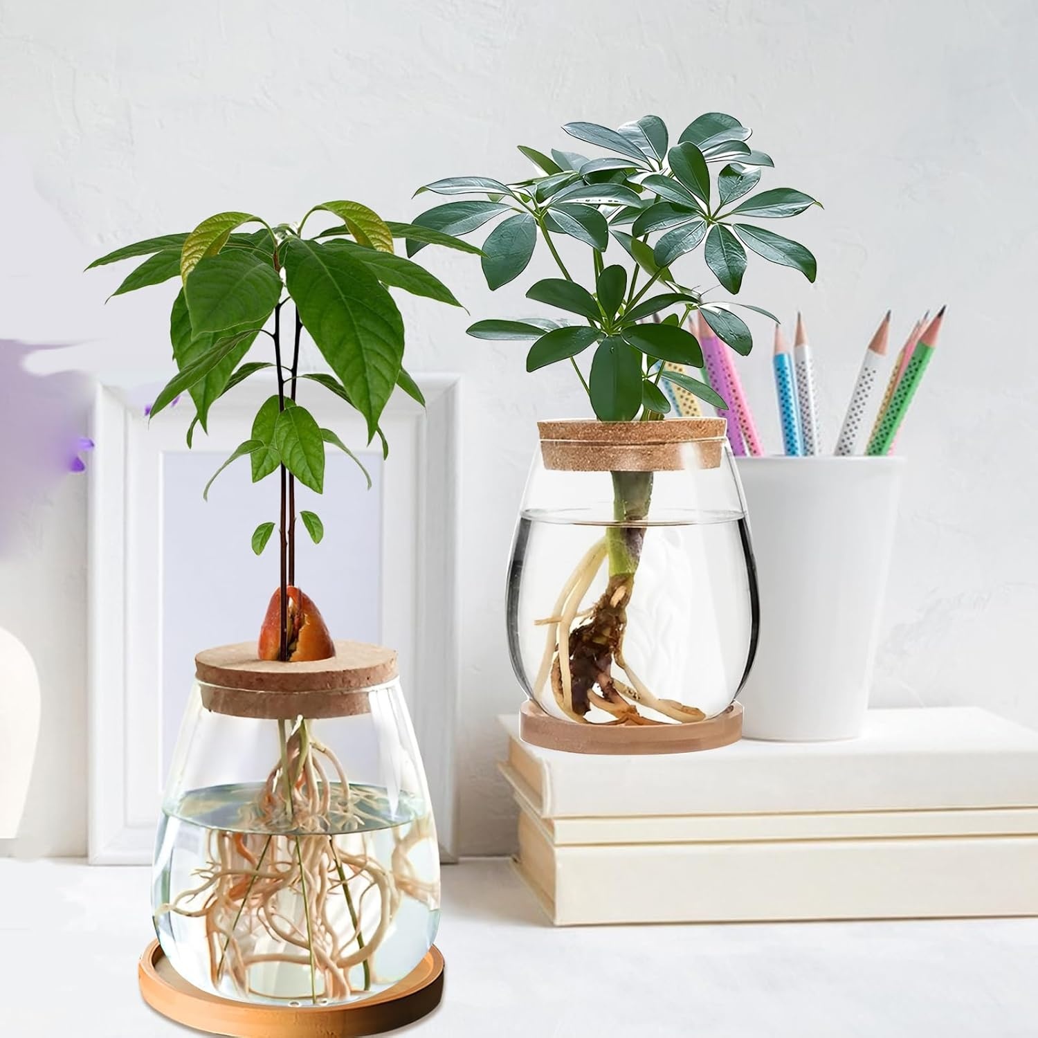2 x plantenvermeerderingsterrarium, glasplanten-kweekstation, plantenstekken, houder, desktopplant, glazen vaas, pot, bloemenvaas, glas voor het kweken van hydrocultuurplanten (C)