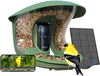 Slimme Vogelcamera Voederhuisje - 30% Korting