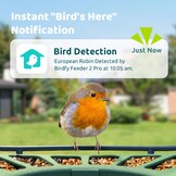 Slimme Vogelcamera Voederhuisje - 30% Korting