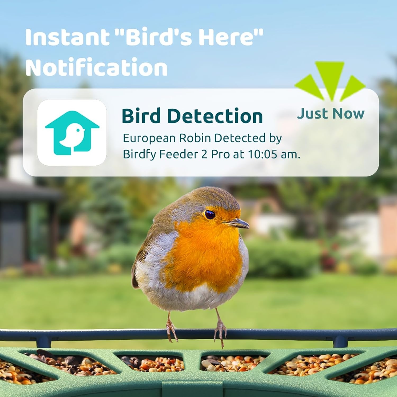 Slimme Vogelcamera Voederhuisje - 30% Korting