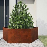 vidaXL Cortenstaal Plantenbak 138x120x45 cm - 29% Korting