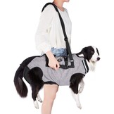 Honden Draagharnas XXL Grijs: Comfort & Veiligheid - 34% Korting