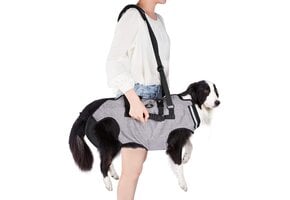 Honden Draagharnas XXL Grijs: Comfort & Veiligheid - 34% Korting
