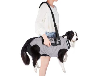 Honden Draagharnas XXL Grijs: Comfort & Veiligheid - 34% Korting