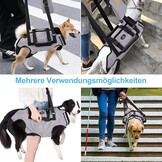 Honden Draagharnas XXL Grijs: Comfort & Veiligheid - 34% Korting