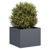 vidaXL Plantenbak 40x40x30 cm staal antracietkleurig