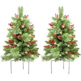 HomeKaren Kerstboom 24 inch Prelit 2 Set Pathway Veranda Kerstbomen Pre-Light LED Batterij Werkt Outdoor Xmas Decor voor Entree Oprit, Tuin, Rode Bessen, Dennenappels