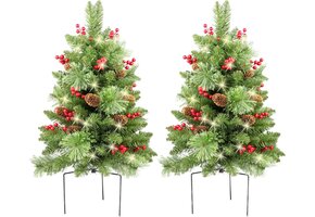 2x Kerstboom Buiten 76cm | LED, Timer, Batterij | 59% Korting