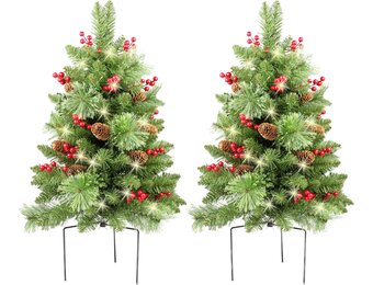 HomeKaren Kerstboom 24 inch Prelit 2 Set Pathway Veranda Kerstbomen Pre-Light LED Batterij Werkt Outdoor Xmas Decor voor Entree Oprit, Tuin, Rode Bessen, Dennenappels