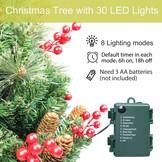 HomeKaren Kerstboom 24 inch Prelit 2 Set Pathway Veranda Kerstbomen Pre-Light LED Batterij Werkt Outdoor Xmas Decor voor Entree Oprit, Tuin, Rode Bessen, Dennenappels