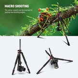 NEEWER 200 cm statief voor camera, monopod met middenkolom en kogelgewricht van aluminium, QR-plaat, boogtype, tas, camerahouder voor statief, horizontale belasting, maximale belasting 15 kg - Maat 200cm