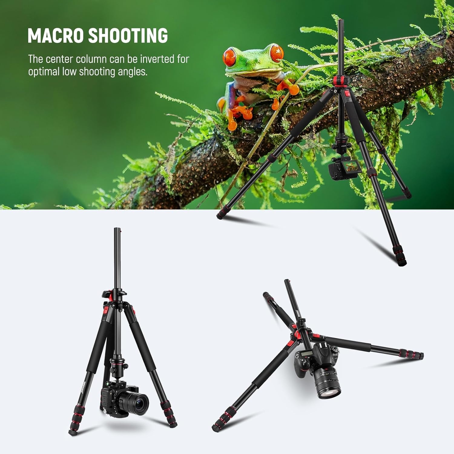 NEEWER 200 cm statief voor camera, monopod met middenkolom en kogelgewricht van aluminium, QR-plaat, boogtype, tas, camerahouder voor statief, horizontale belasting, maximale belasting 15 kg - Maat 200cm