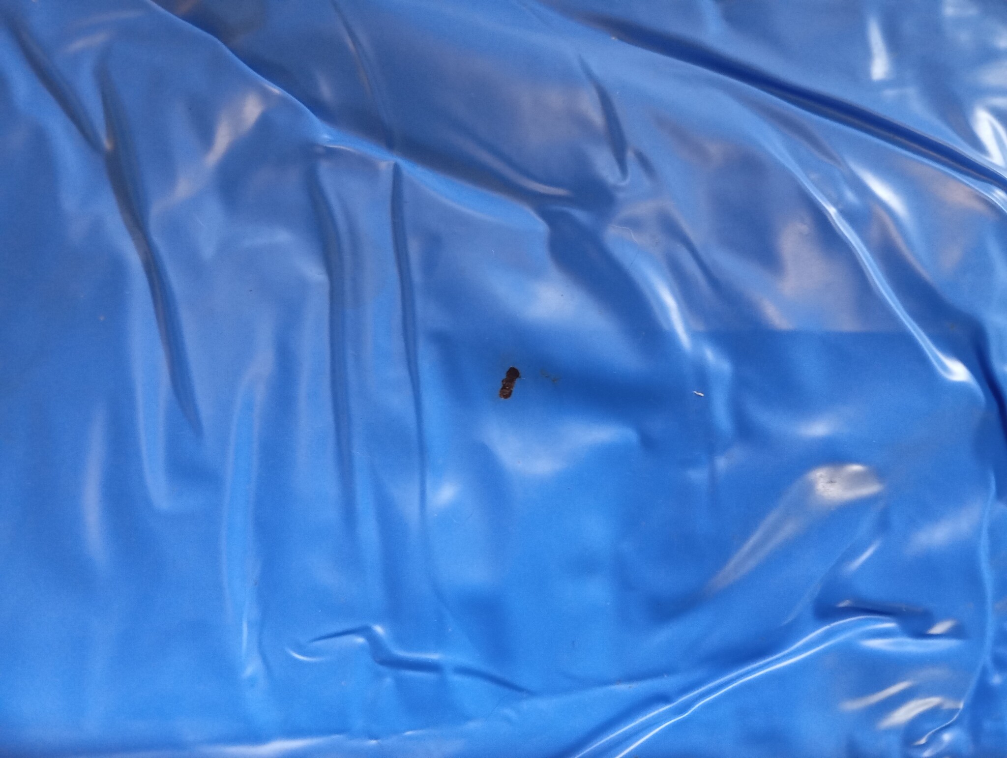 Zwembadkussen, winter, 2 m x 4 m, XXL luchtkussen, zwembad, winterkussen met dubbele naad, veiligheidsventiel, 15 m touw, 0,4 mm dik pvc, tot -25 °C, luchtkussen voor zwembadafdekkingen