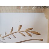 Rekje voor Wandrouters, Opbergdoos voor Wifi-routers, Kabels, ECC-stopcontacten, Wifi-router voor de Muur, Box voor het Verbergen van Verschillende TV-kabels, Decoders, Routers enz. (Kleur: C)
