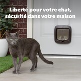 PetSafe Microchip Katdeur - Buiten- of Binnenkatflap - Multi-User RFID Toegang voor Tot 40 Huisdieren - 4-Weg Vergrendeling, Weerbestendig, Gemakkelijk te Installeren - Bruin