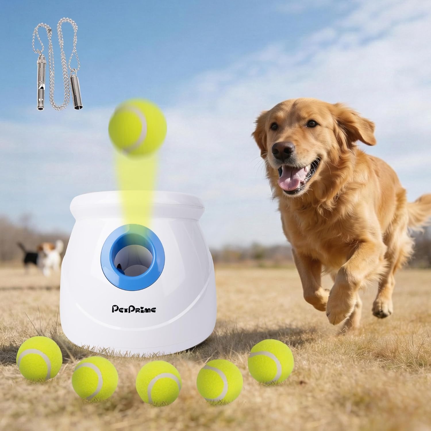 Pet Prime Automatische Balwerper voor Grote Honden - Zwart, One Size