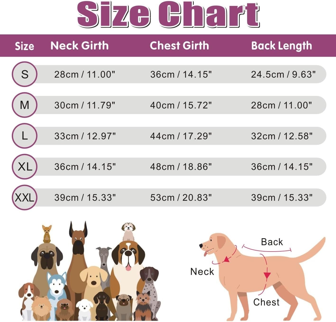 Honden Winterjas Paars XL - Waterdicht & Warm met 74% Korting