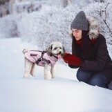 Honden Winterjas Paars XL - Waterdicht & Warm met 74% Korting