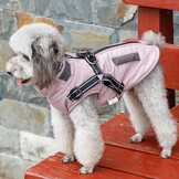 Honden Winterjas Paars XL - Waterdicht & Warm met 74% Korting