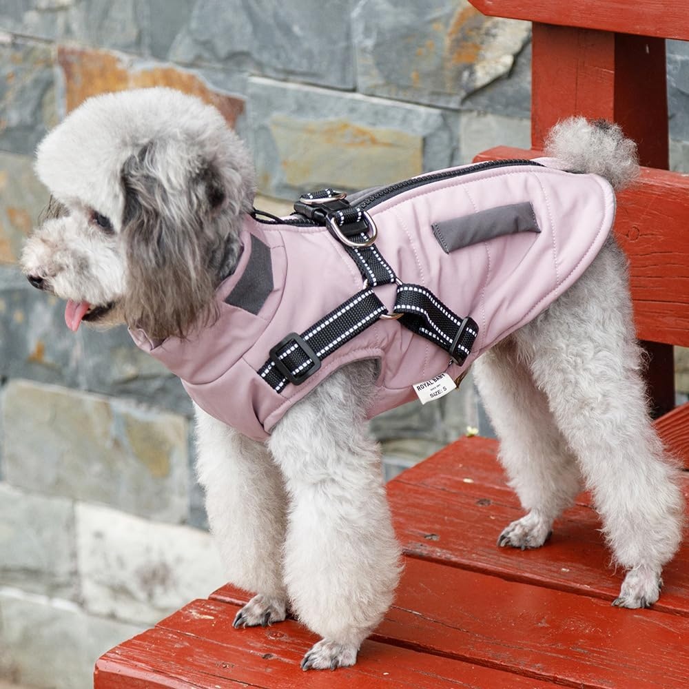 Honden Winterjas Paars XL - Waterdicht & Warm met 74% Korting