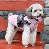 Honden Winterjas Paars XL - Waterdicht & Warm met 74% Korting