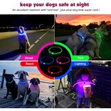 2 stuks led-hondenhalsbanden, USB-oplaadbaar, waterdicht, kan op elke maat worden gesneden, geschikt voor kleine honden, middelgrote honden, grote honden, groen + roze