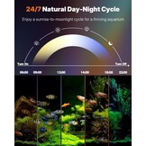 Pawfly Aquarium Led-verlichting, 24/7, uitschuifbaar aquariumlicht met volledig spectrum, wit, blauw, rood, groen, met D/N-modus, enkele kleureffecten, timer en instelbare helderheid (voor tanks van