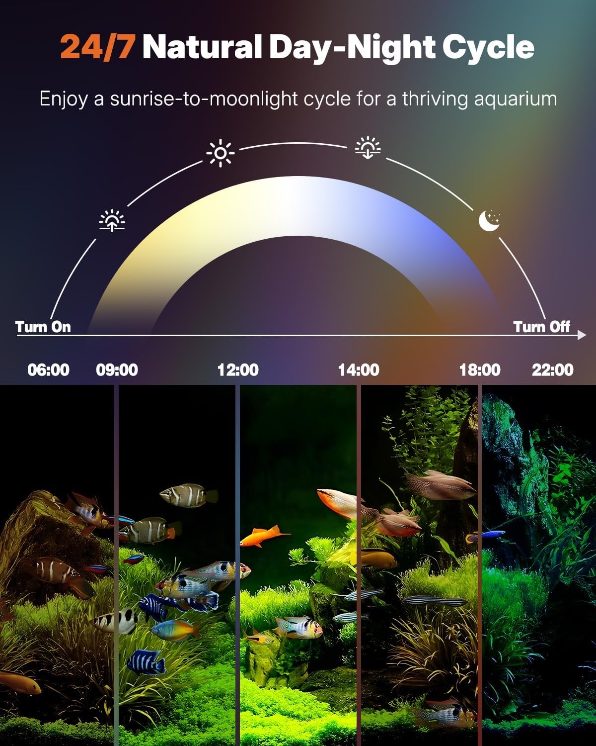 Pawfly Aquarium Led-verlichting, 24/7, uitschuifbaar aquariumlicht met volledig spectrum, wit, blauw, rood, groen, met D/N-modus, enkele kleureffecten, timer en instelbare helderheid (voor tanks van