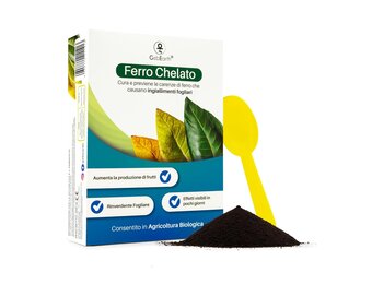 GebEarth IJzer Chelaat Poeder - 200gr | Tegen Bladvergeling | 48% Korting