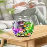 Breukvrije Vissenkom/Terrarium 24cm - 28% Korting