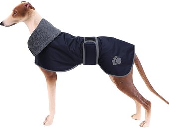 Geyecete Winterjas Greyhounds Marineblauw - 28% Korting - Maat L
