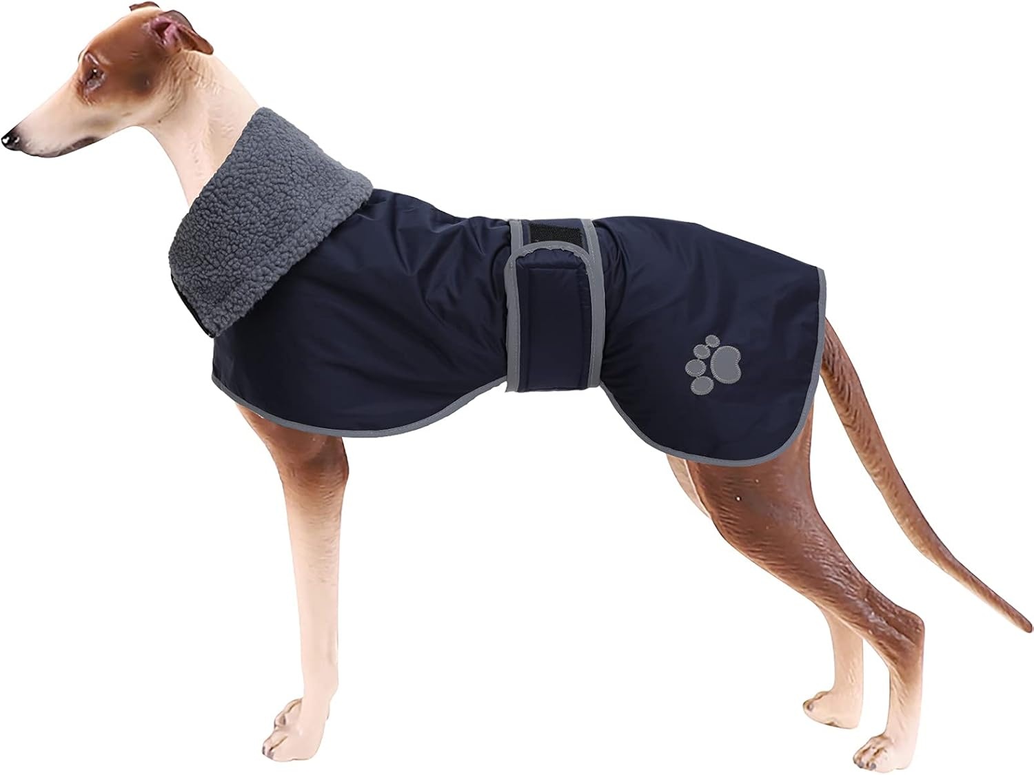 Geyecete Winterjas Greyhounds Marineblauw - 28% Korting - Maat L