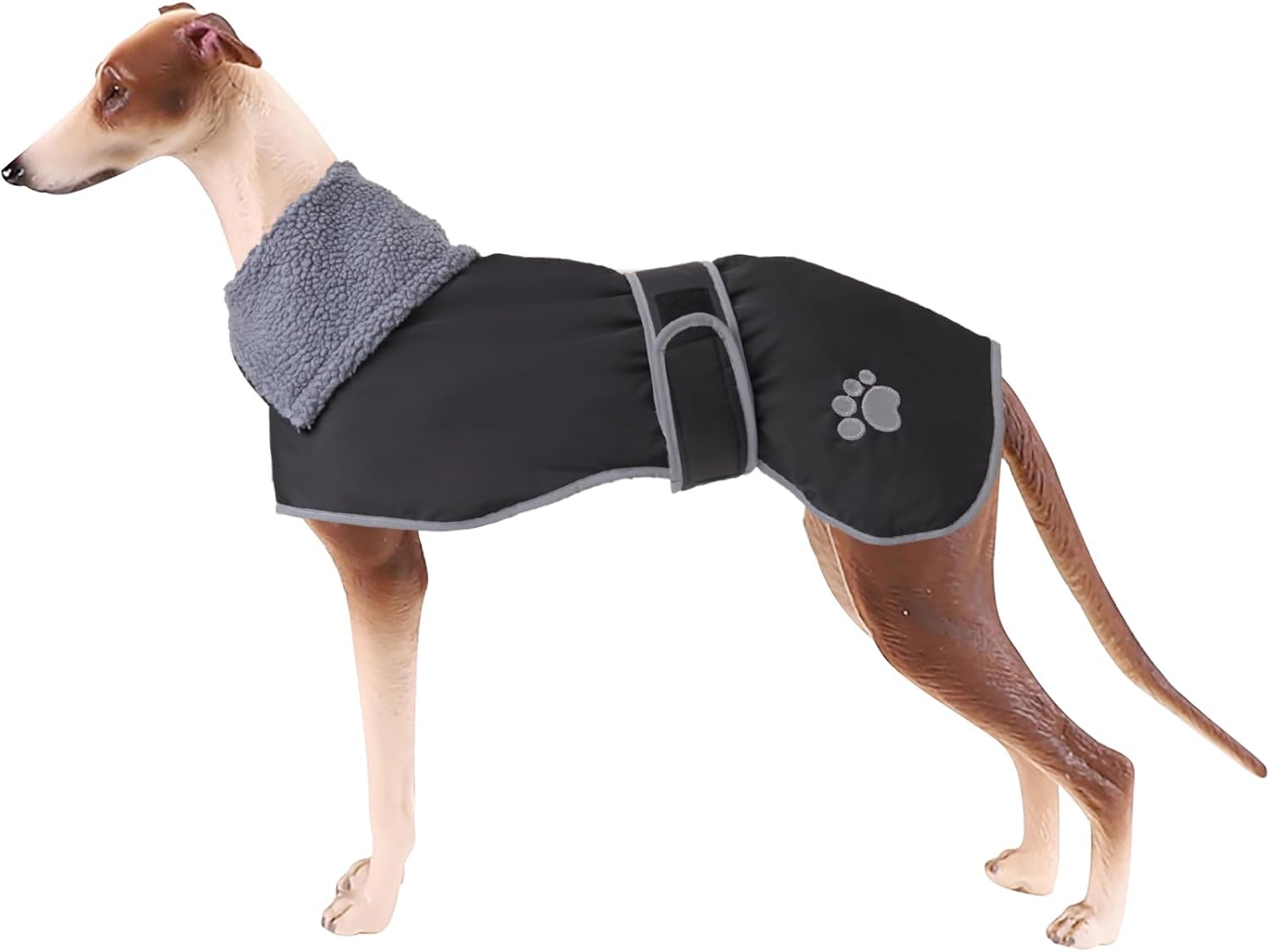 Geyecete Winterjas Greyhounds Marineblauw - 28% Korting - Maat L