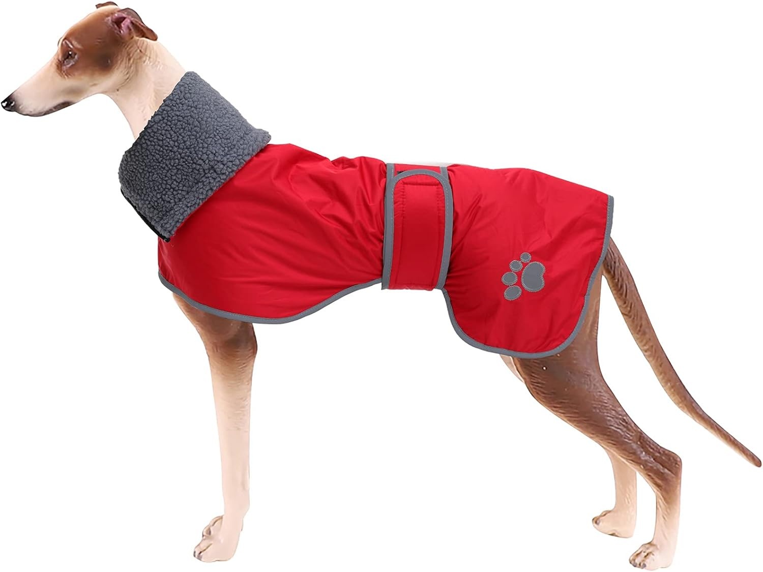 Geyecete Winterjas Greyhounds Marineblauw - 28% Korting - Maat L