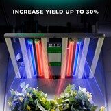 MARS HYDRO Adlite RB30 LED Kweeklamp 30W Rood/Blauw Spectrum