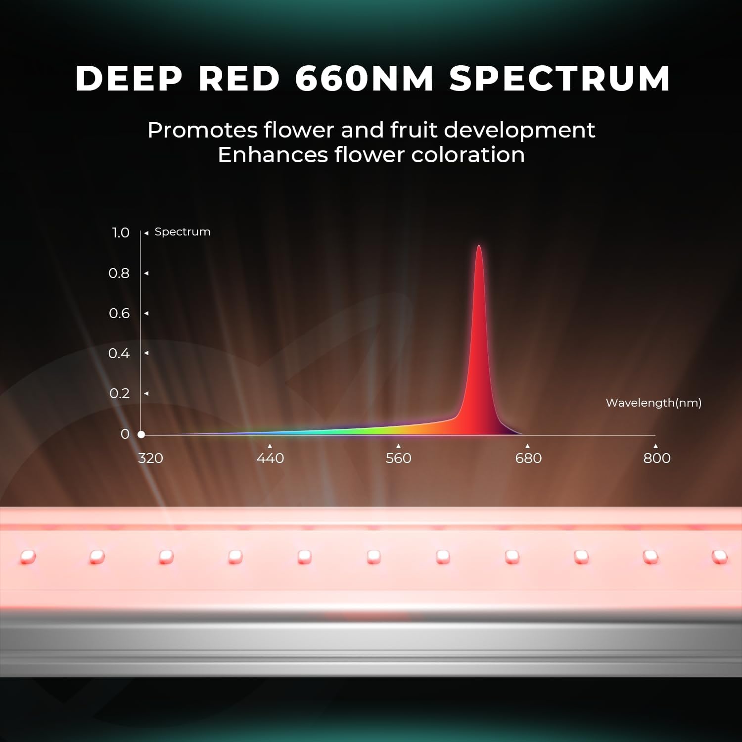 MARS HYDRO Adlite RB30 LED Kweeklamp 30W Rood/Blauw Spectrum