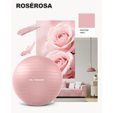 Fitnessbal 65cm - Yoga, Pilates & Bureauzitbal | 32% Korting