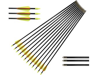 Glasvezelpijlen 12 stuks - 26 inch - 29% Korting