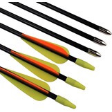 Glasvezelpijlen 12 stuks - 26 inch - 29% Korting