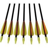Glasvezelpijlen 12 stuks - 26 inch - 29% Korting